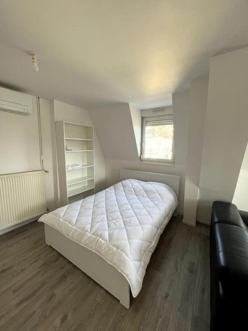 Appartement F5 Maison De Maitre Мюлуз Экстерьер фото