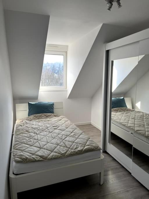 Appartement F5 Maison De Maitre Мюлуз Экстерьер фото