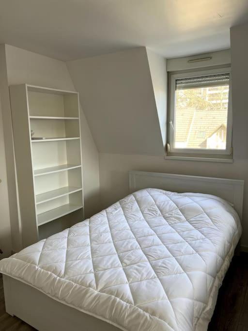 Appartement F5 Maison De Maitre Мюлуз Экстерьер фото
