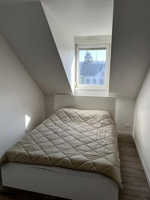 Appartement F5 Maison De Maitre Мюлуз Экстерьер фото